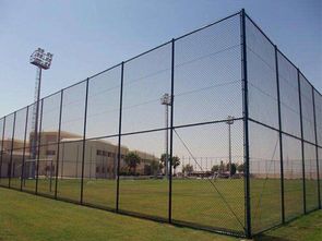 学校球场围栏网与钢结构网架 安全防护与空间优化的综合解决方案